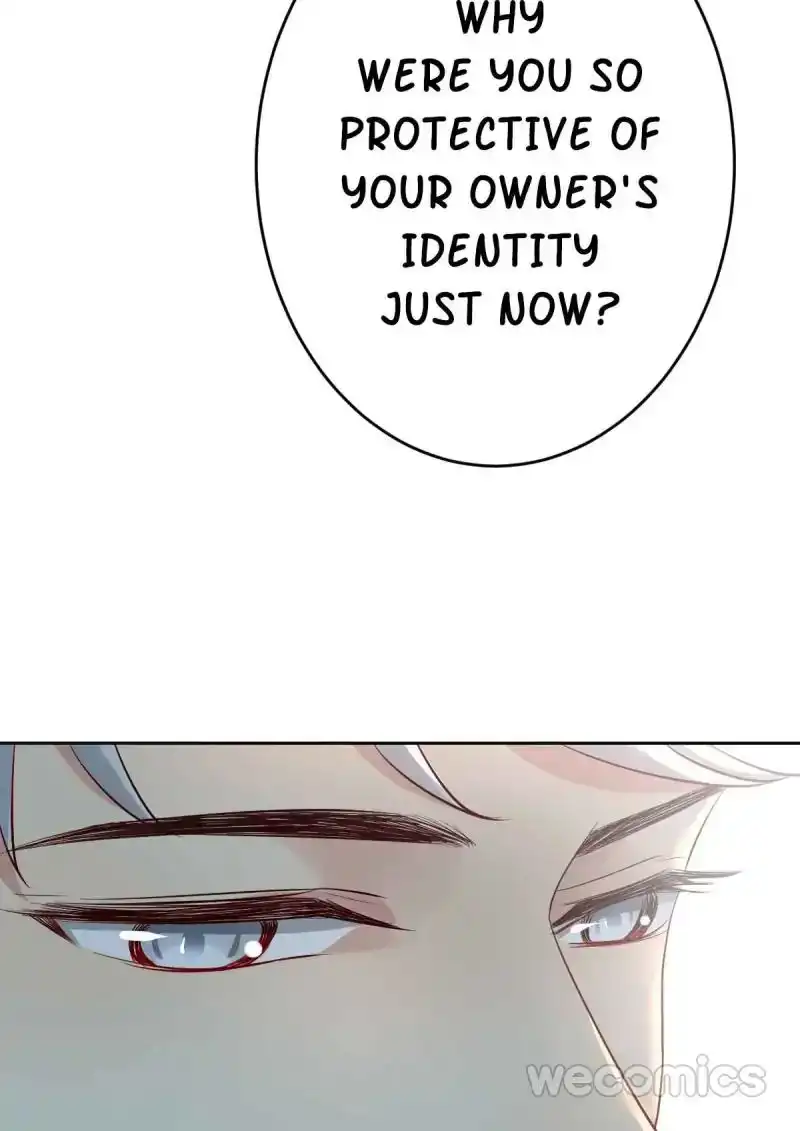 Legend Reboot Chapter 19 25